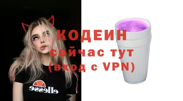 гашик Гусиноозёрск