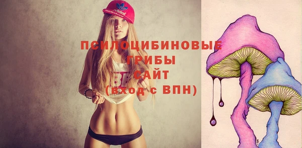 mdpv Гусь-Хрустальный