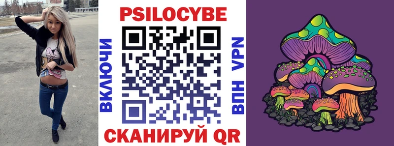 Псилоцибиновые грибы Cubensis  Джанкой 